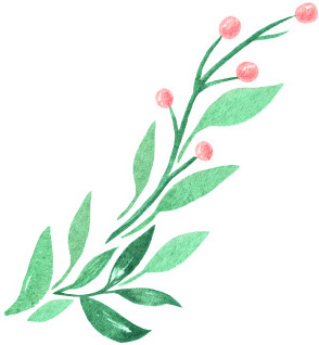 エステティック